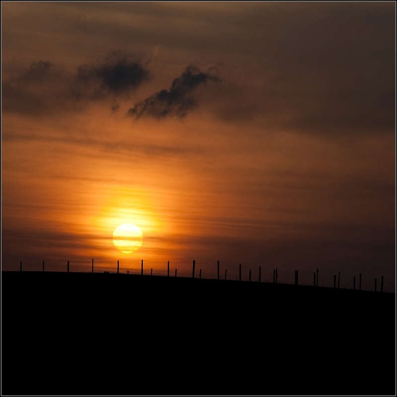 DSC_5818-Edit.jpg