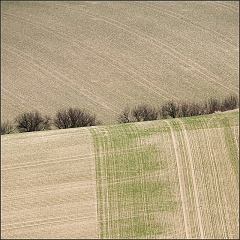 DSC_5496-Edit