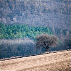 DSC_5504-Edit