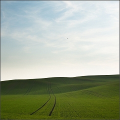 DSC_5592-Edit