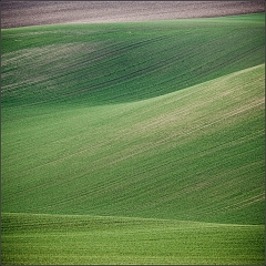 DSC_5614-Edit