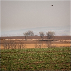 DSC_5710-Edit
