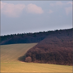DSC_5724-Edit