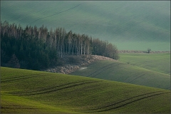 DSC_5736-Edit