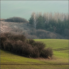 DSC_5740-Edit