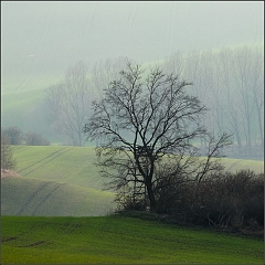 DSC_5743-Edit