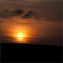 DSC_5818-Edit