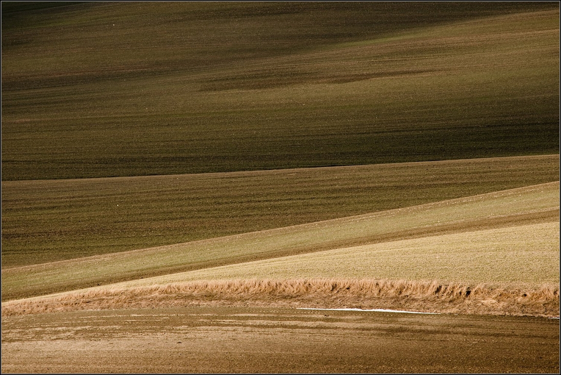 DSC_4078-Edit.jpg