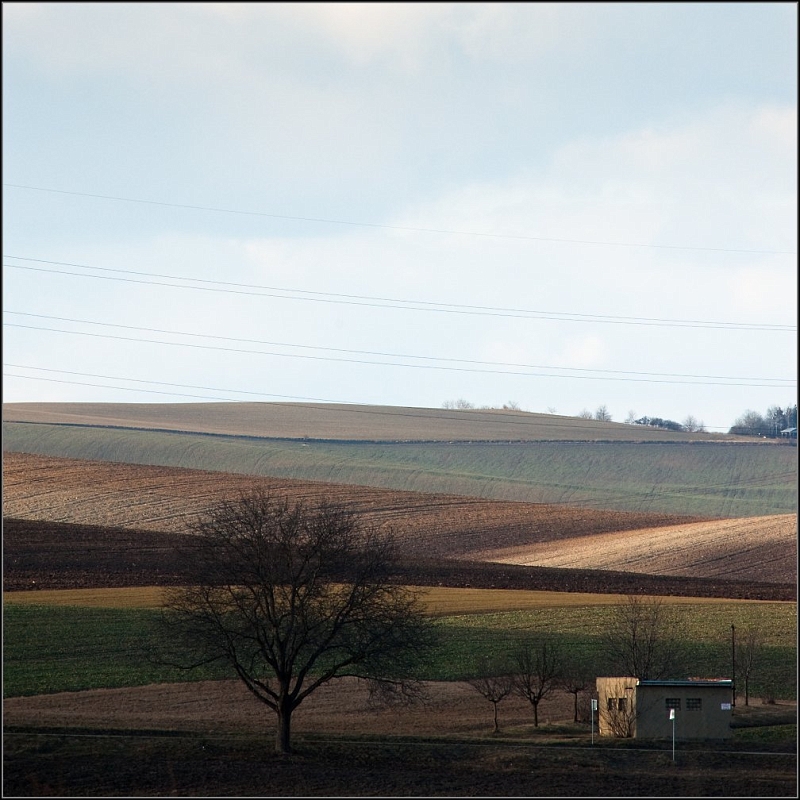 DSC_4090-Edit.jpg