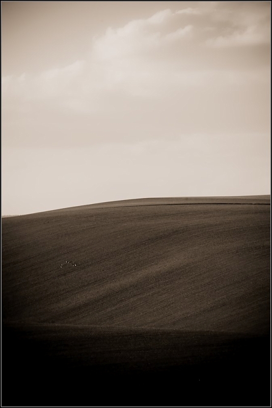 DSC_4108-Edit.jpg