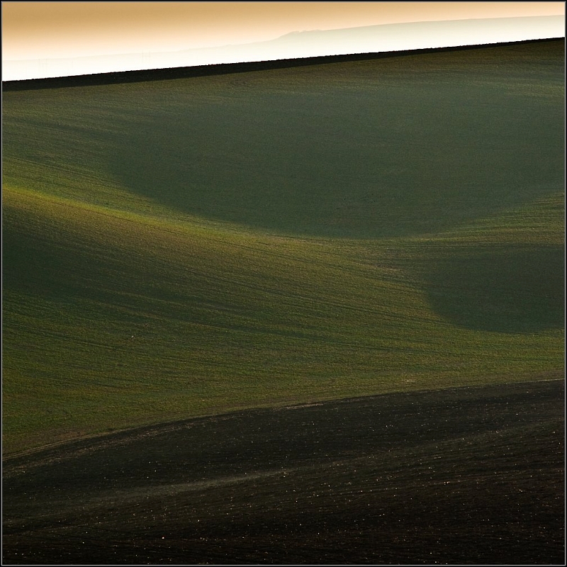 DSC_4118-Edit.jpg
