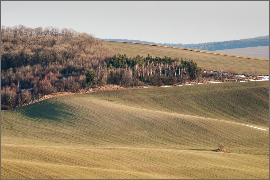 DSC_4121-Edit-Edit.jpg