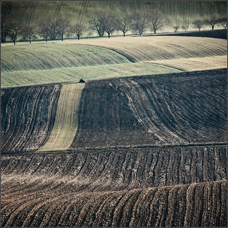 DSC_4123-Edit.jpg