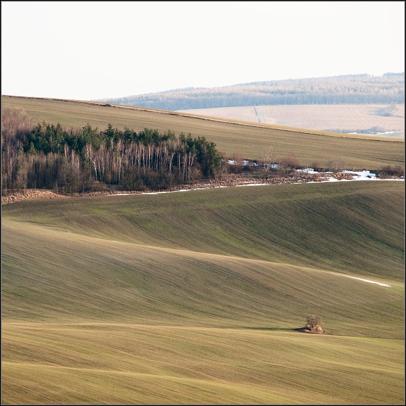 DSC_4128-Edit.jpg