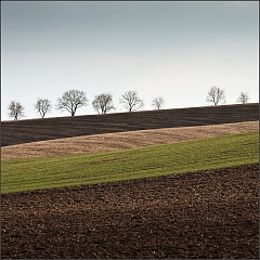 DSC_3969-Edit