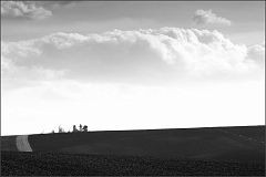 DSC_3984-Edit