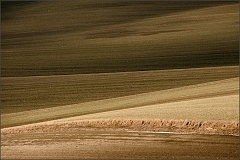 DSC_4078-Edit