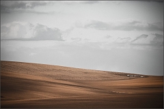 DSC_4100-Edit
