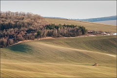 DSC_4121-Edit-Edit