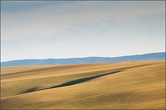 DSC_4131-Edit-2