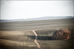 DSC_4135-Edit