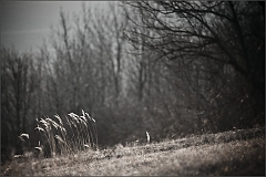 DSC_4143-Edit