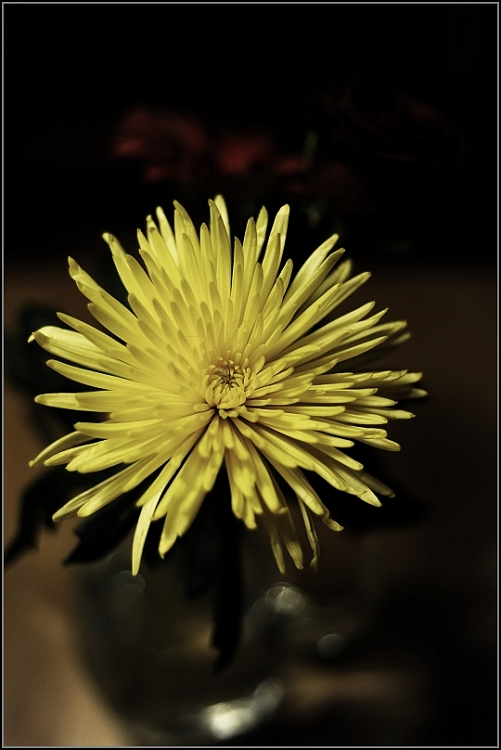 DSC_0421.jpg
