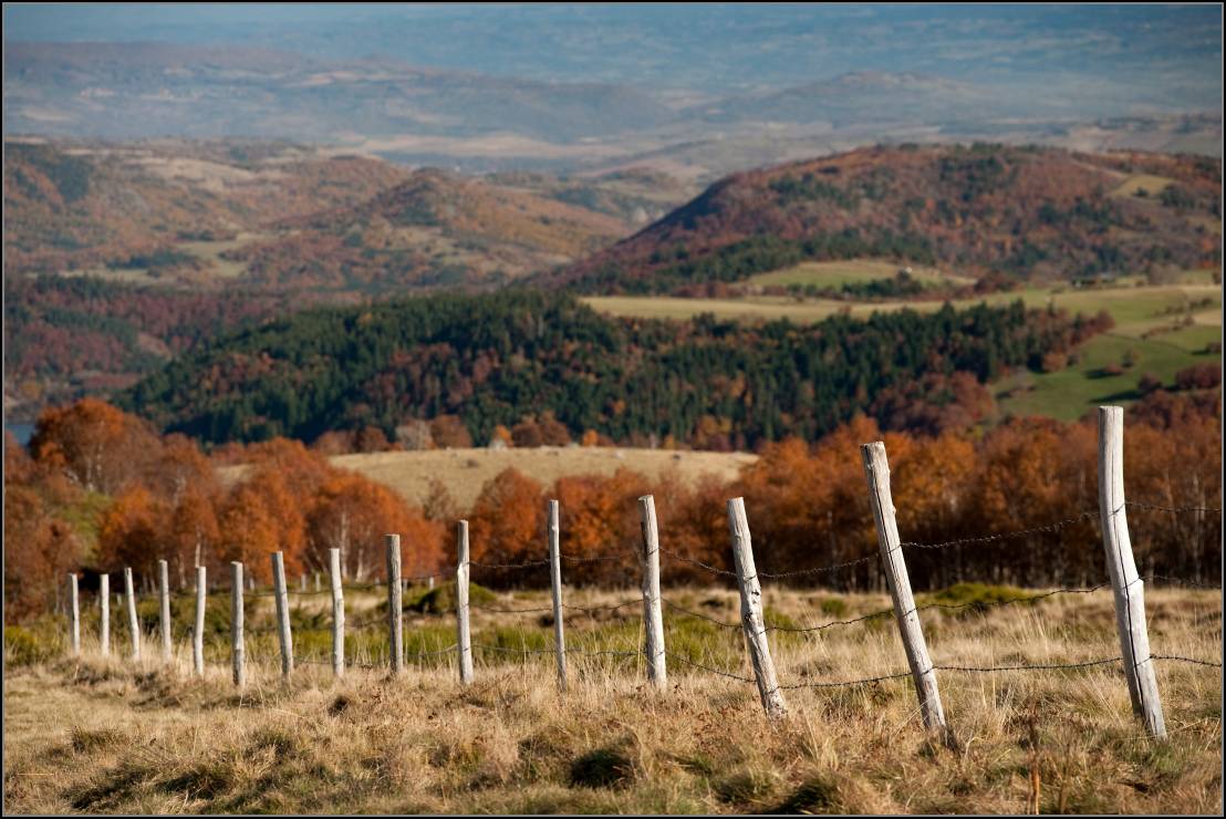 DSC_0046-Edit.jpg