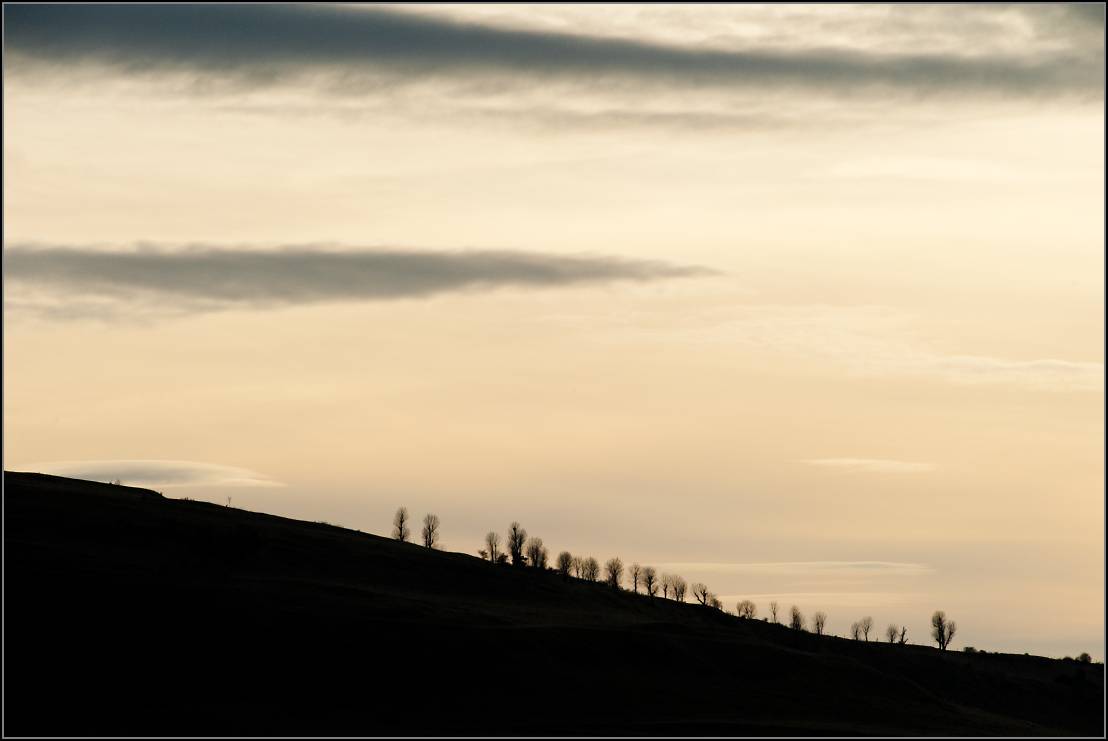 DSC_0313-Edit-2.jpg