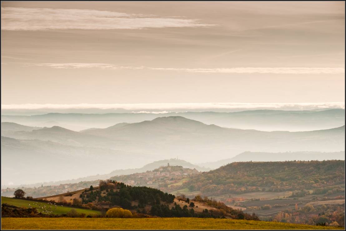 DSC_0368-Edit-2.jpg