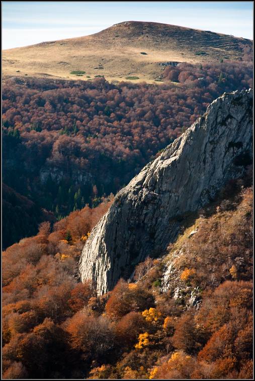 DSC_9785-Edit.jpg