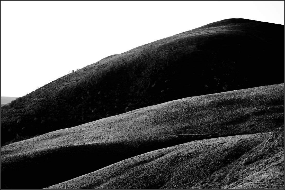DSC_9892-Edit.jpg