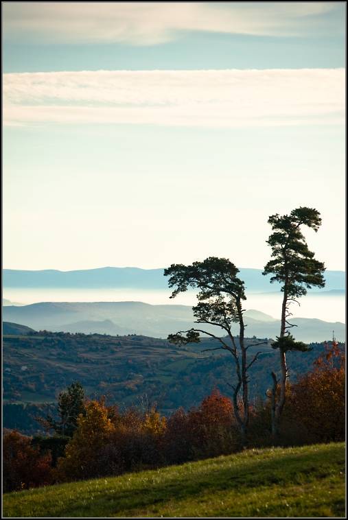 DSC_9944-Edit.jpg