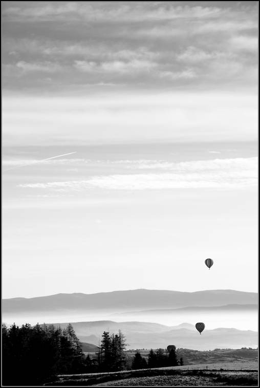 DSC_9951-Edit.jpg