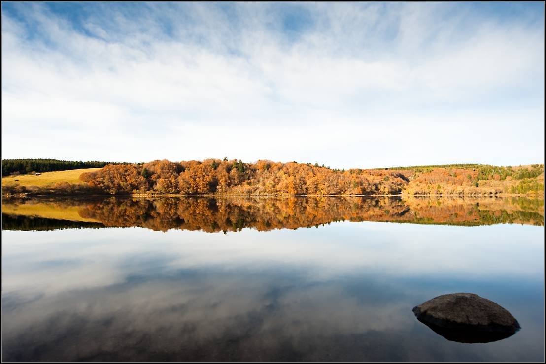 DSC_9954-Edit.jpg