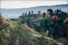 DSC_0223-Edit-2