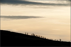 DSC_0313-Edit-2