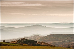 DSC_0368-Edit-2