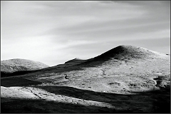 DSC_9884-Edit