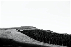 DSC_9890-Edit