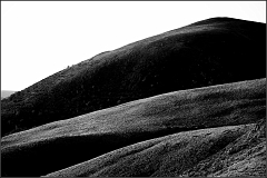 DSC_9892-Edit