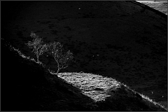 DSC_9899-Edit