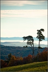 DSC_9944-Edit