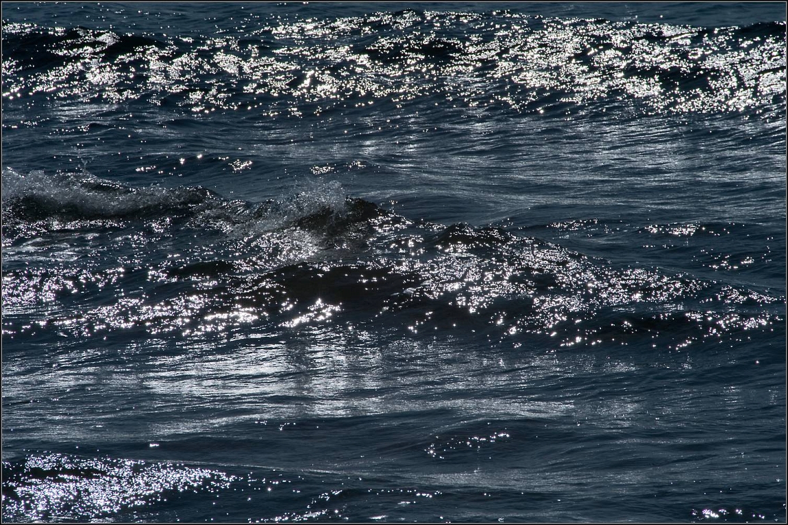 DSC_9201-Edit.jpg