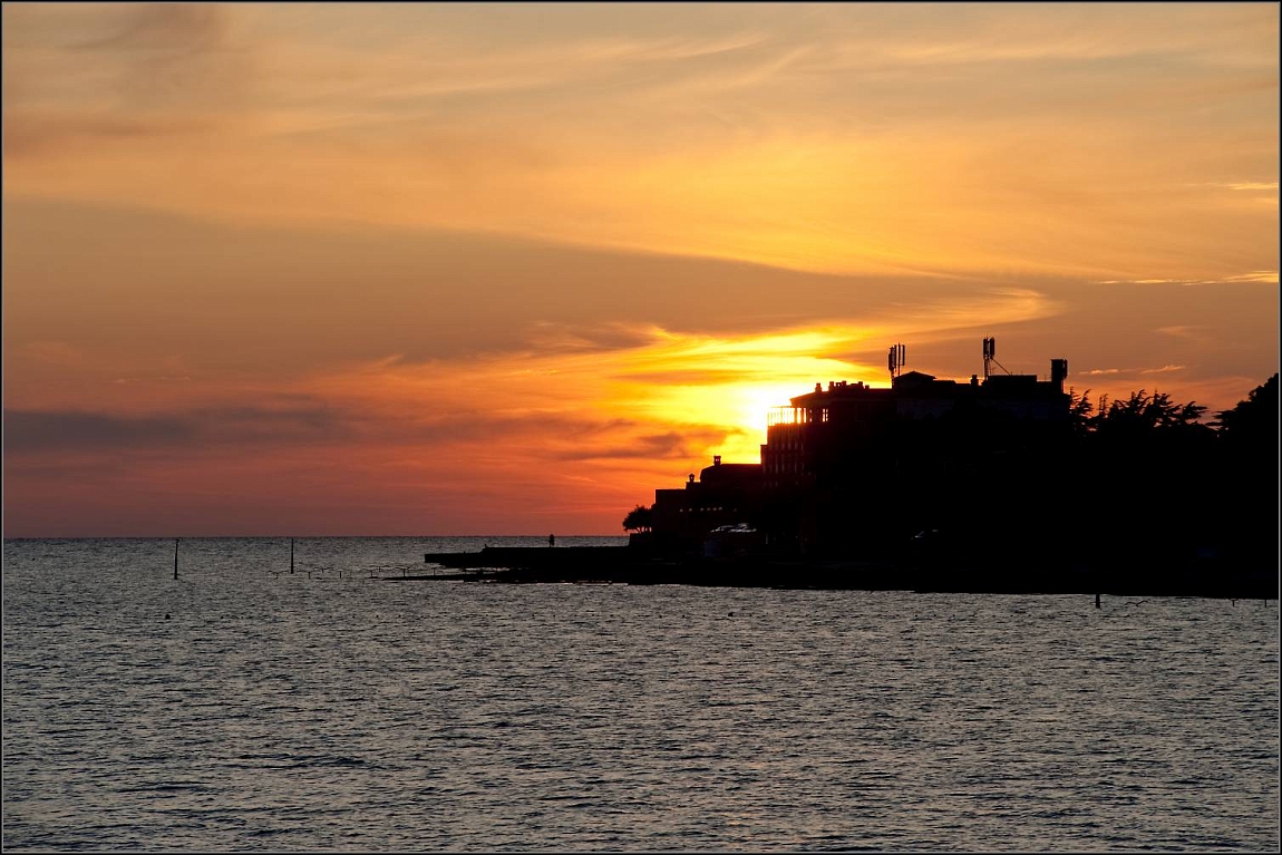 DSC_9296-Edit.jpg