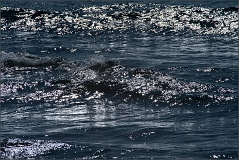DSC_9201-Edit