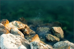 DSC_9328-Edit