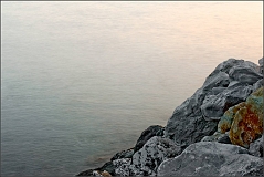 DSC_9331-Edit