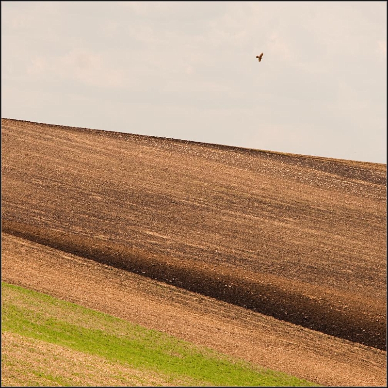 DSC_0418-Edit-2.jpg