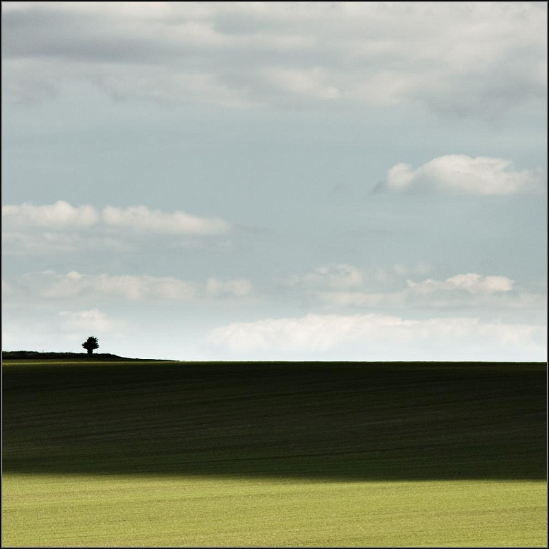 DSC_7934-Edit.jpg